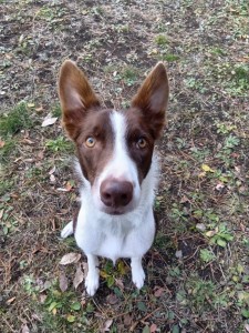 251207072412614_20251224102002