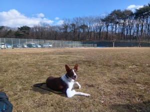 251207110150008_20251224102123