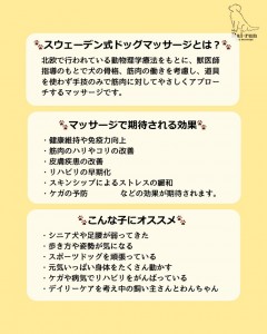 1769941464030_20260207101744_20260227063235