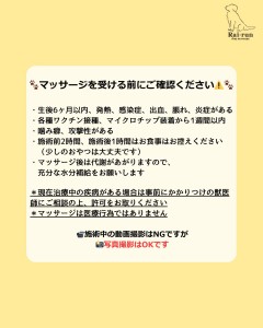 1769941464097_20260207101742_20260227063235