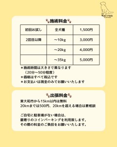 1769941464146_20260207101745_20260227063235