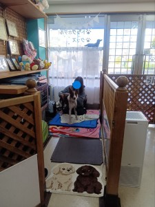 260201141352219_20260207094715