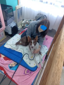 260201141647286_20260207094716