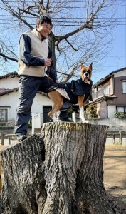 1771233300062_20260331091829