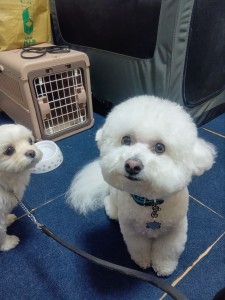 251209173525229_20251224102130