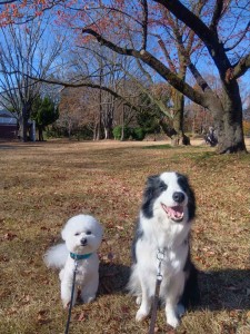 251210105802615_20251224102126