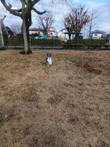 251214142800040_20260207093937