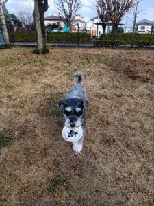 251214142801891_20260207093931