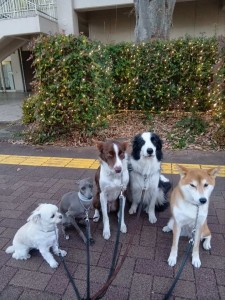 251218162639616_20260207093938