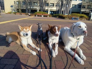 251219085758929_20260207093933