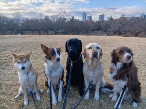 251222085047983_20260207093934