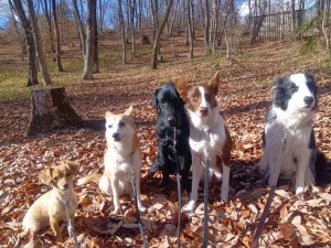 251226123342526_20260207093940