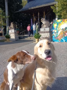 260102134813479_20260207094555