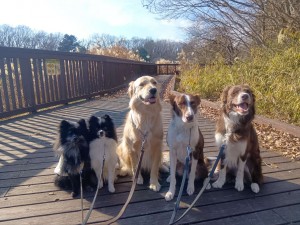 260105124745078_20260207094601