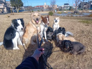 260106094605565_20260207094558