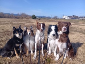 260115095514687_20260207094557