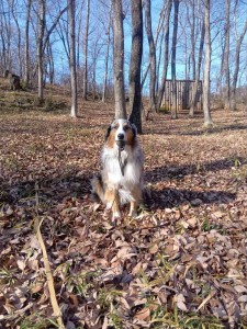 260117134236482_20260331091410