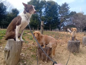 260119094314040_20260331091412