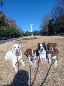 260122102717641_20260331091413