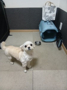 260126130125717_20260331091414