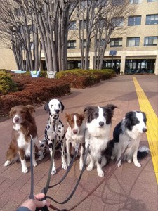 260129133036445_20260331091416