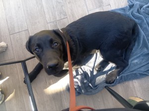 260206102044829_20260331091558