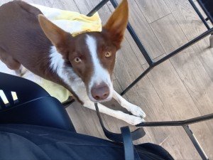 260206102103330_20260331091710