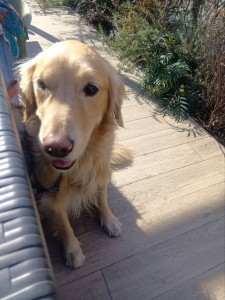 260206102109266_20260331091711