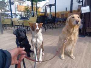 260206113815340_20260331091712