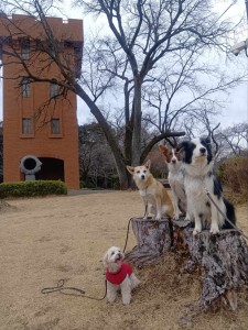 260210145643727_20260331091714