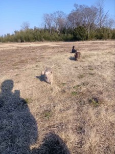 260213151008175_20260331091716