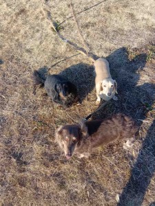 260213151458011_20260331091717