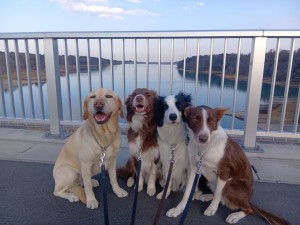 260218161434959_20260331091830