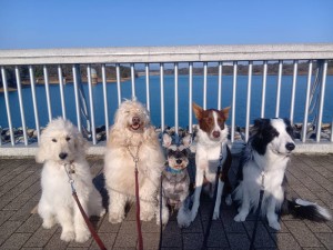 260312074300114_20260331091939