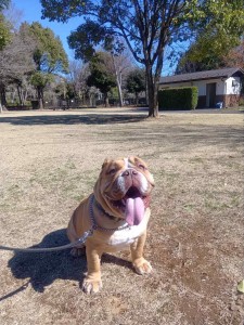 260314094901220_20260331091941