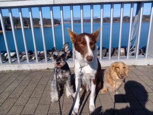 260315085256726_20260331091942