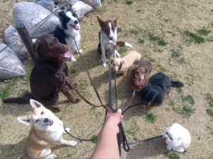 260319100959044_20260331091946