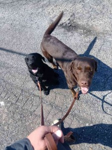 260321124721654_20260331092053