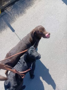 260321124834393_20260331092054