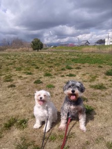 260327102822084_20260331092058