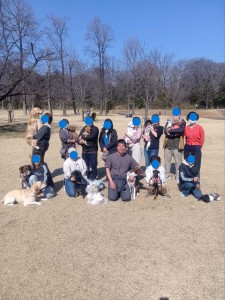 260215120050314_20260331091826