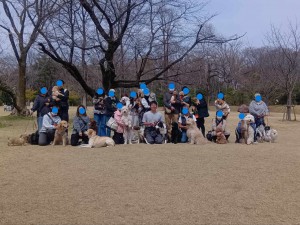 260322114955072_20260331092056