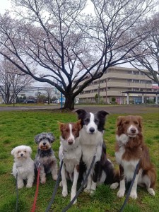 260328063532550_20260331092059