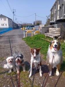 260329095810665_20260331092101