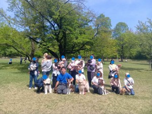 260419094939438_20260423091201