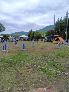 260504114541709_20260515081150